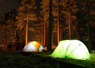 Some-Practical-&-Unique-Health-Benefits-of-Camping-on-digitaldistributionhub