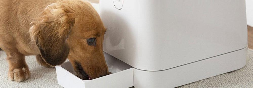 The-Benefits-of-Having-an-Automated-Pet-Care-Product