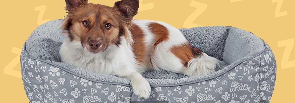 The-K&H-Pet-Products-Self-Warming-Rectangular-Dog-Bed