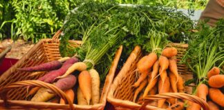 Carrots-Rooted-in-Health-–-A-Comprehensive-Growing-Guide-on-digitaldistributionhub
